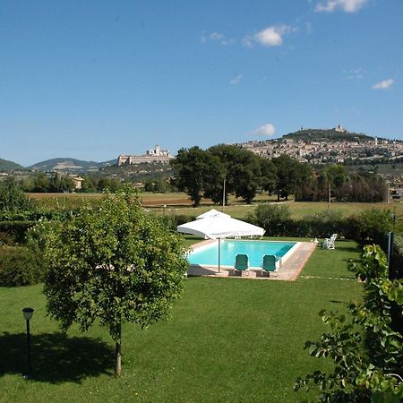 Il Podere Del Falco Assisi Buitenkant foto